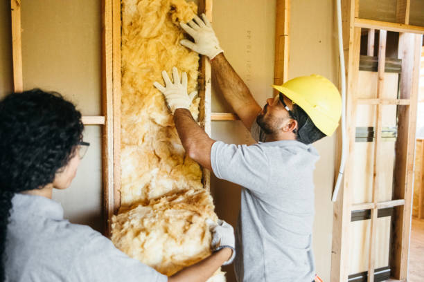 Best Insulation Contractor Near Me  in Stockdale, TX
