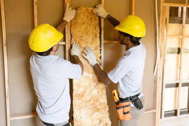 Best Home Insulation Services  in Stockdale, TX